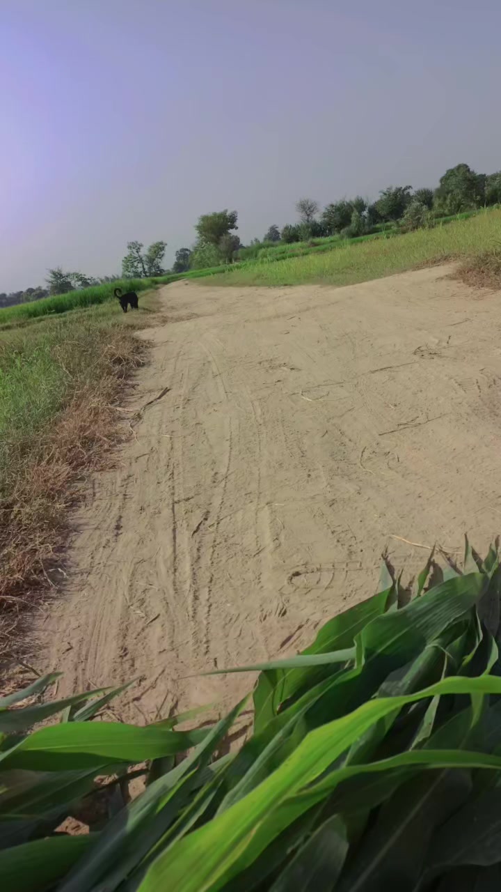 @⚔️🥷🏻 ندیم احمد بھٹی 🦅✌️