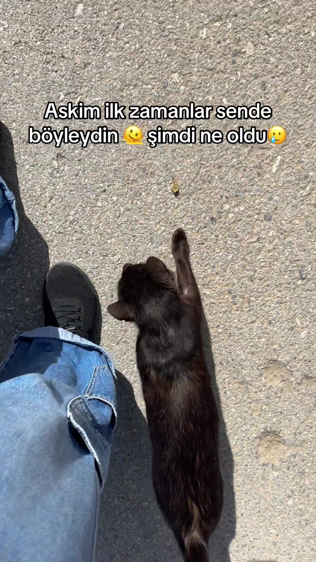 @Bengisu