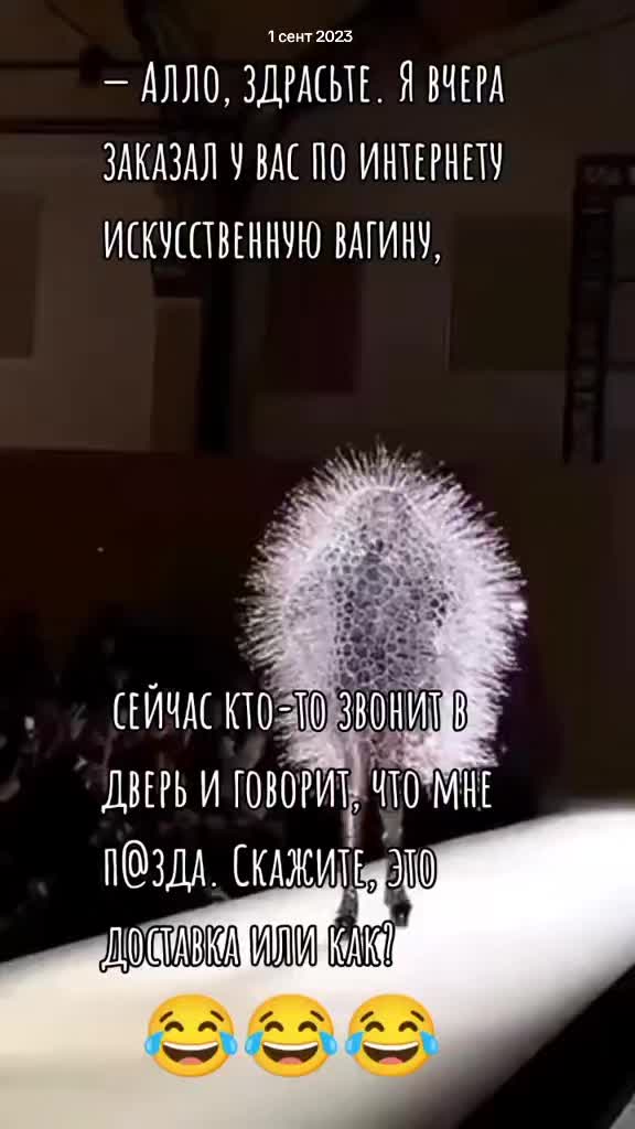@💫Даниса💫
