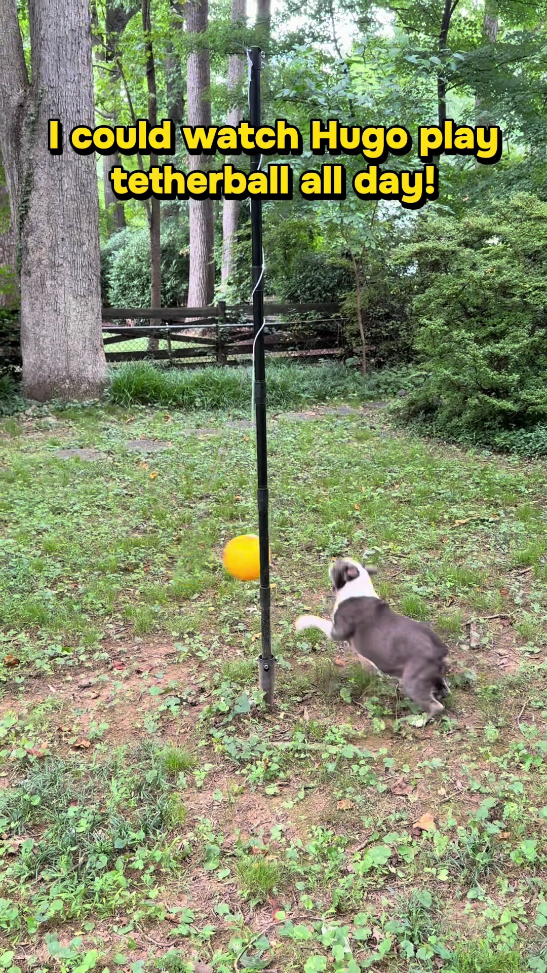 @Hugo_the_Frenchton