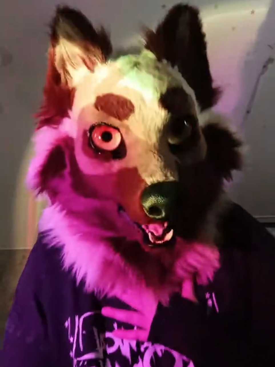 @LeraWolf_workshop