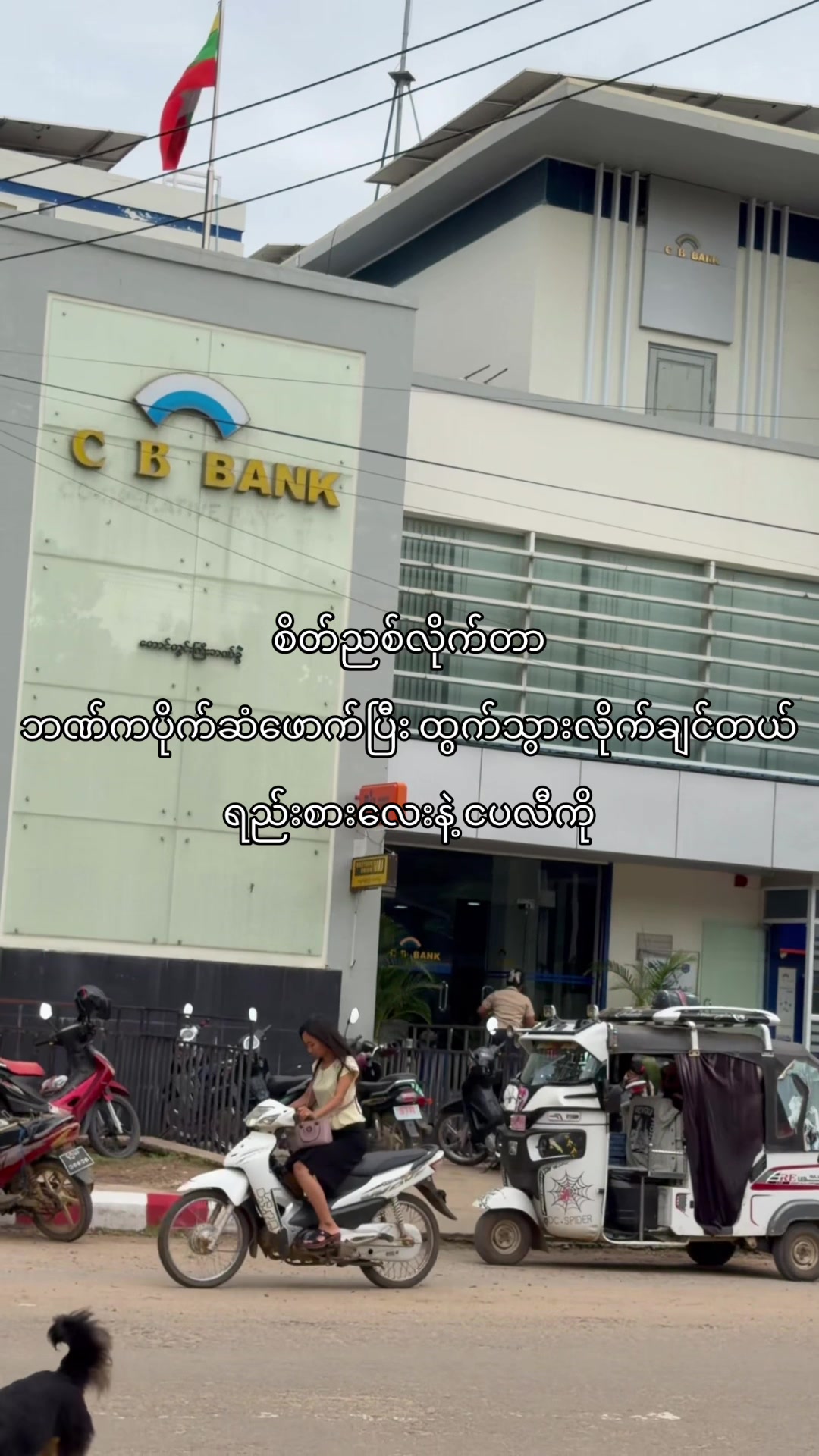 @๐๐จ๐ช๐๐ก๐ข๐ง๐(Official2.8M)