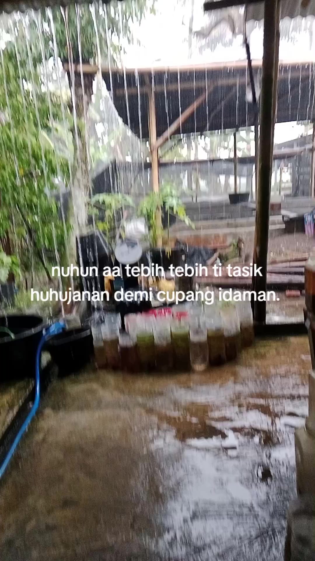 @aman fish