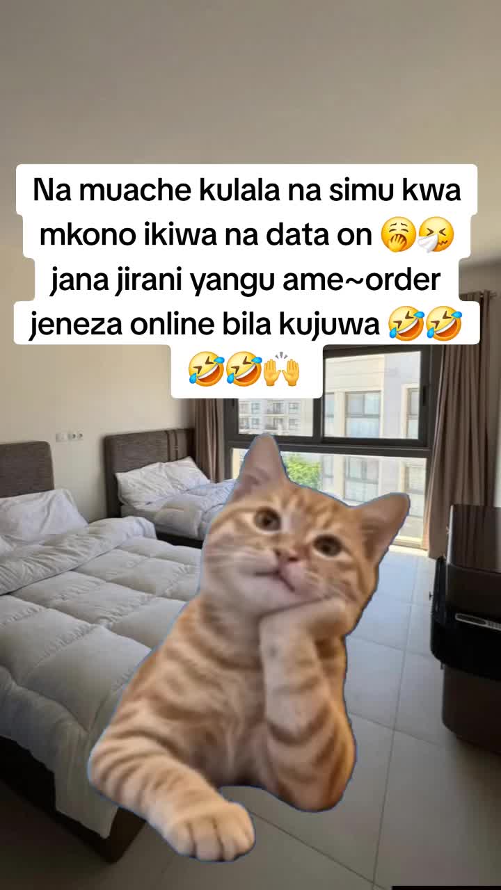 @Miss Vibez ๐ค๐๐