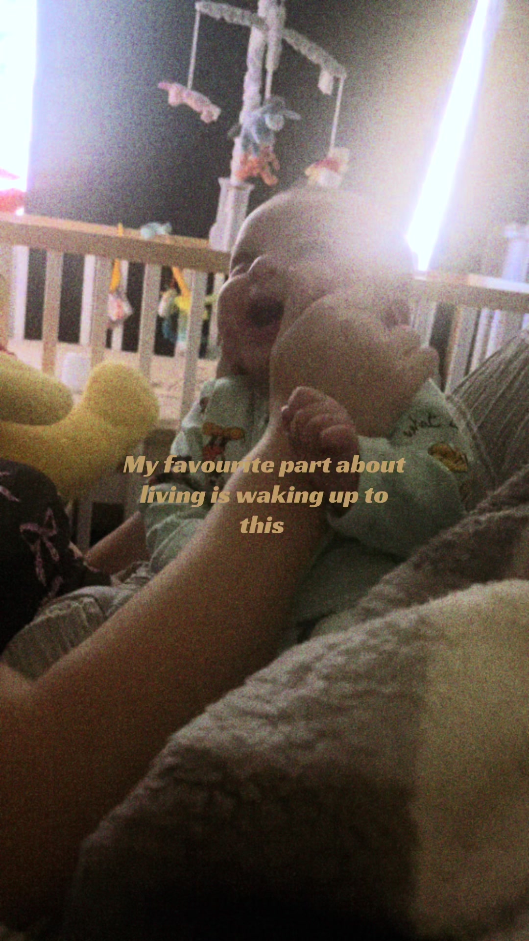 @Kaylee || Elias🤎