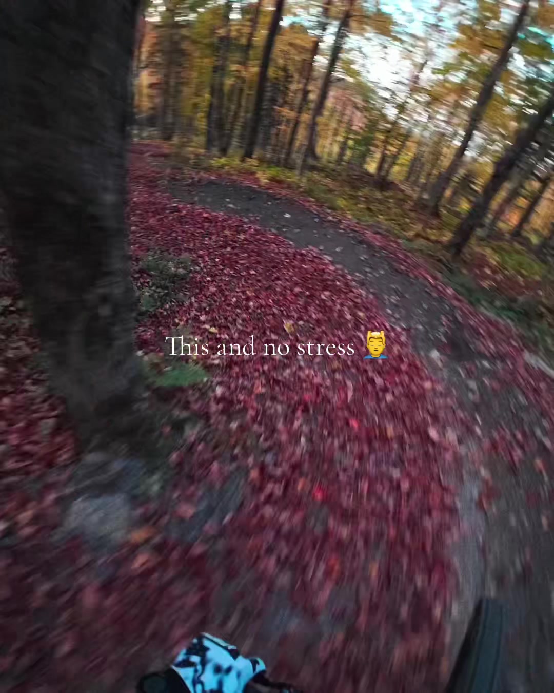 @DANNER