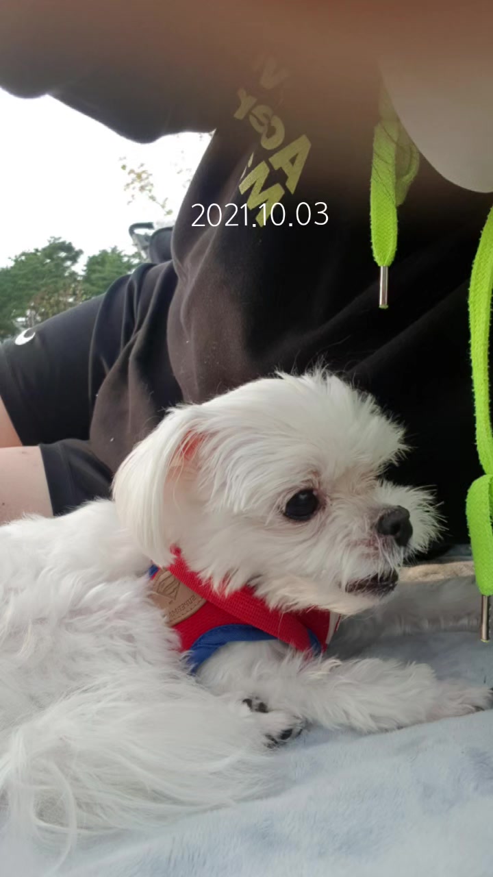 @초롱맘