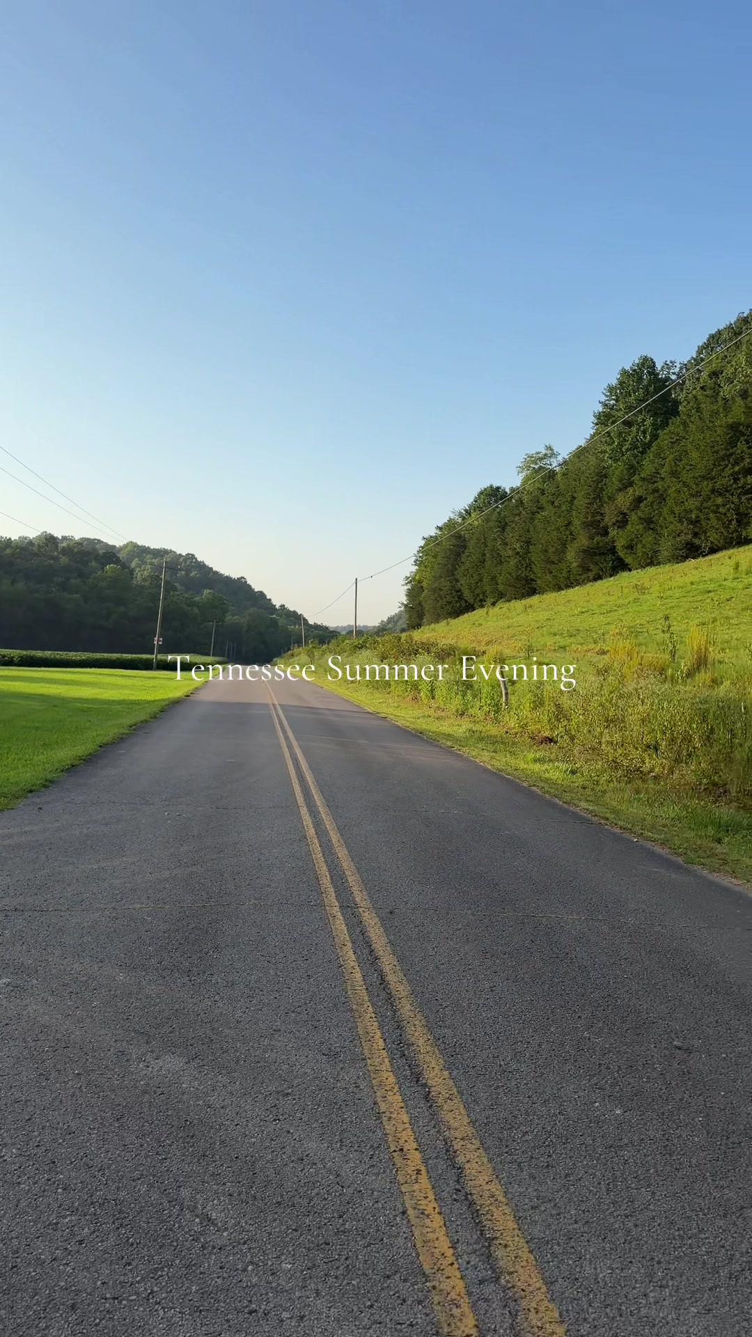 @Amanda Hone | Realtor
