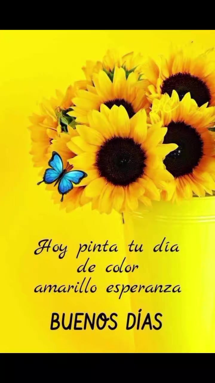 @Patricia Wright