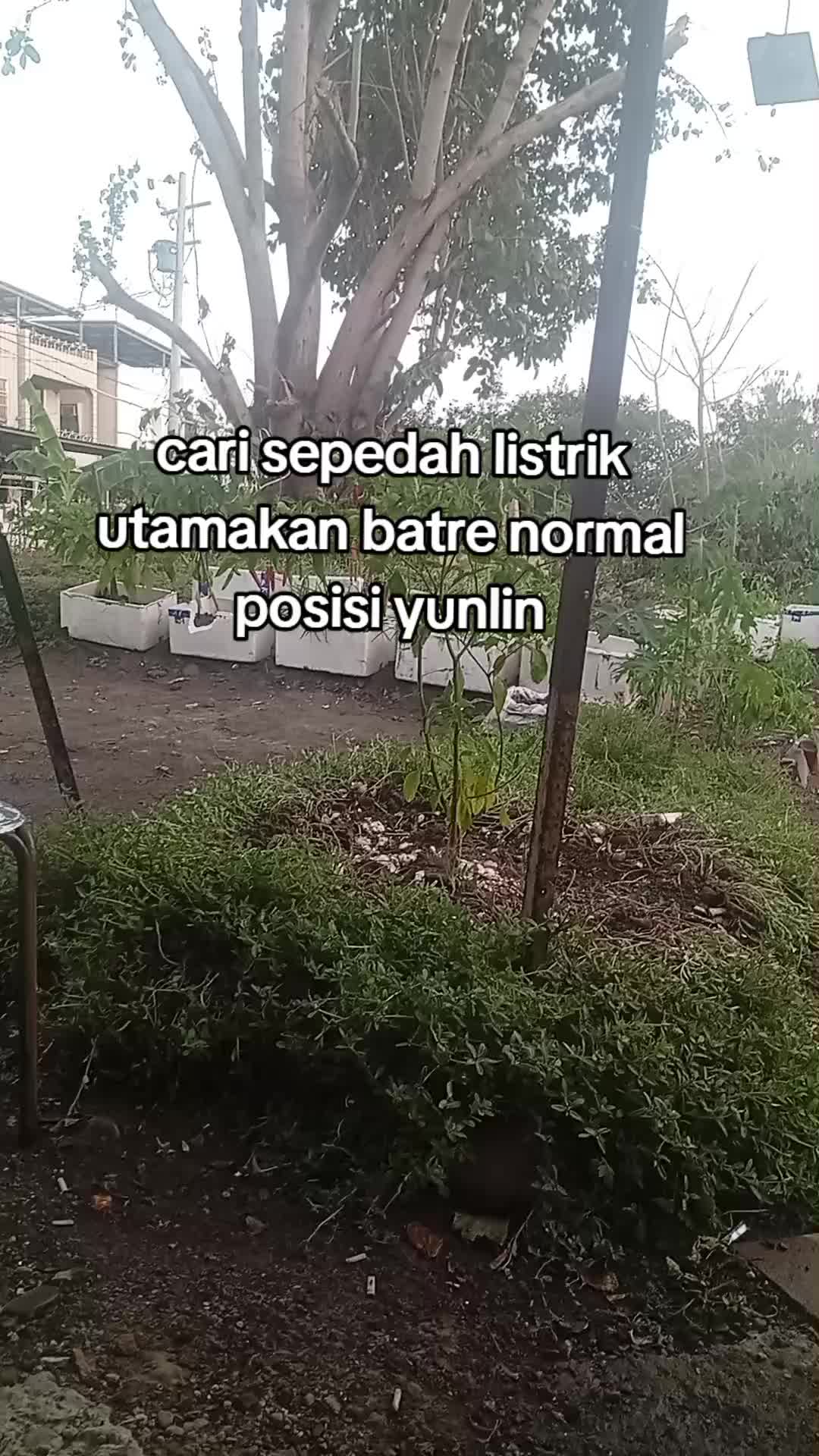 @Mbah ibuk