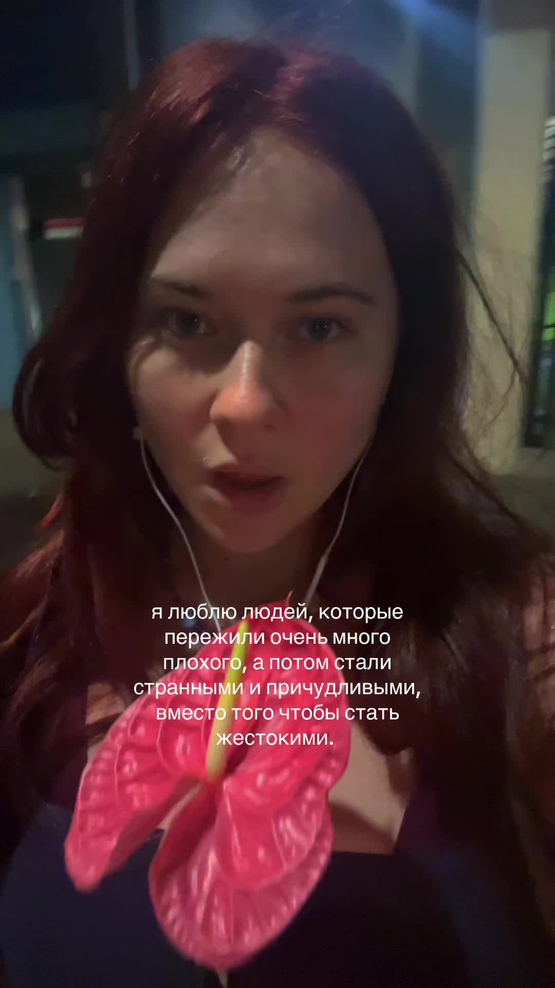 @winivino 🦔