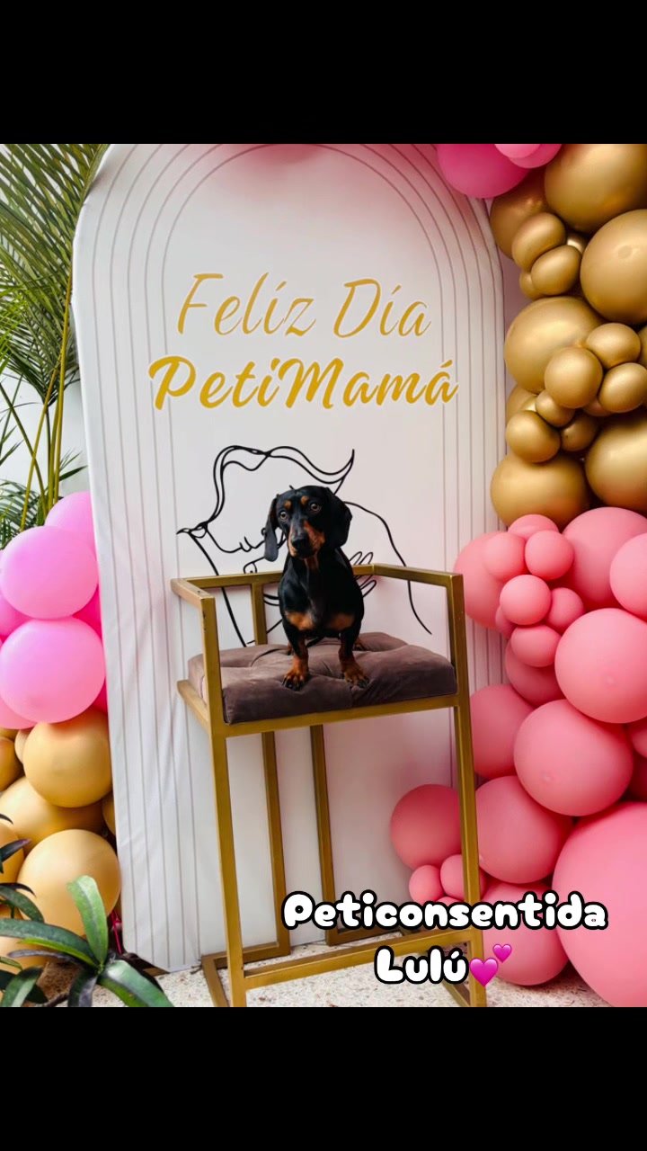 @🐾 Petisos 🐾
