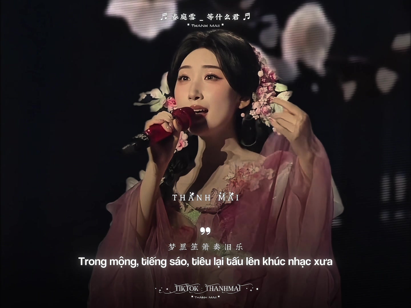 @𝗧𝗵𝗮𝗻𝗵 𝗠𝗮𝗶𝗶 青梅
