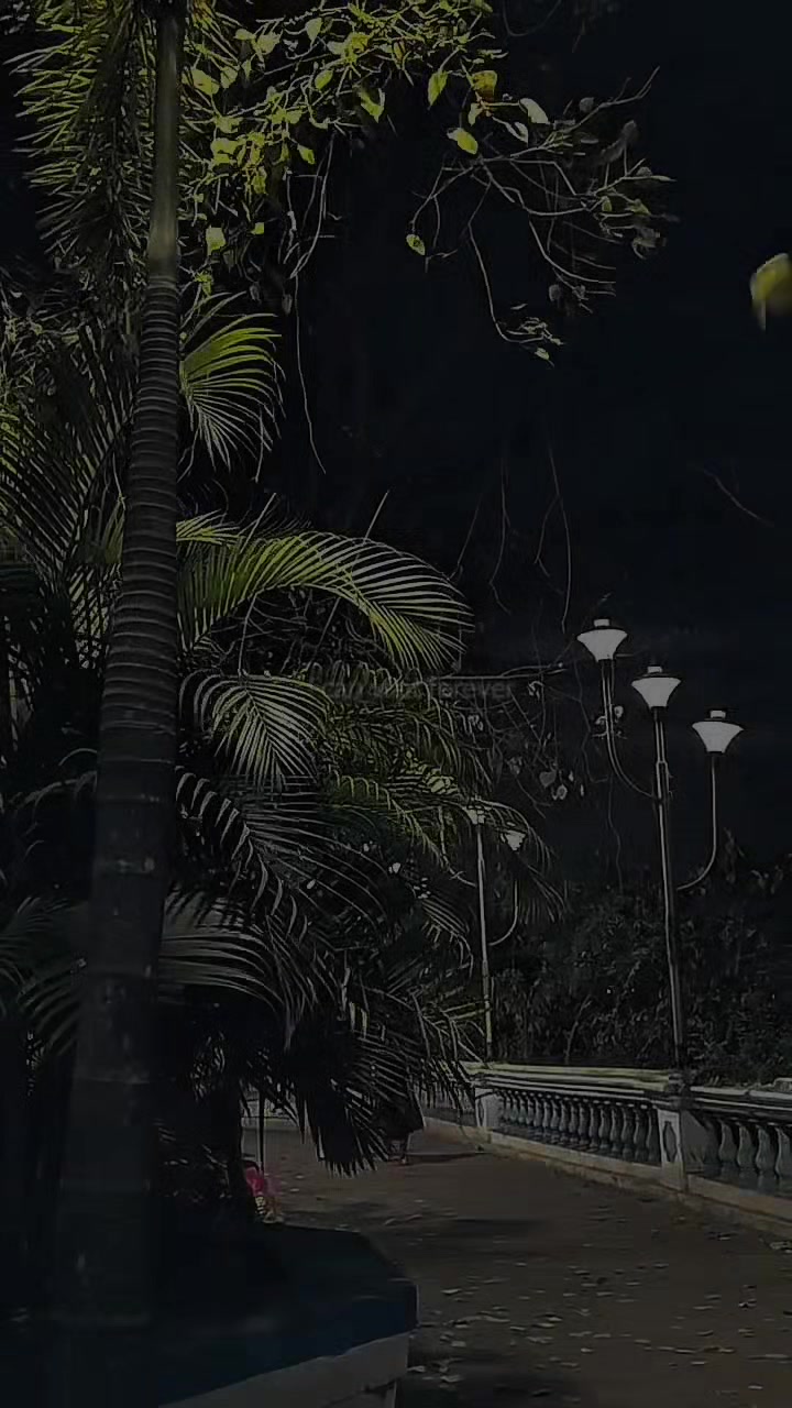 @chillsongs18