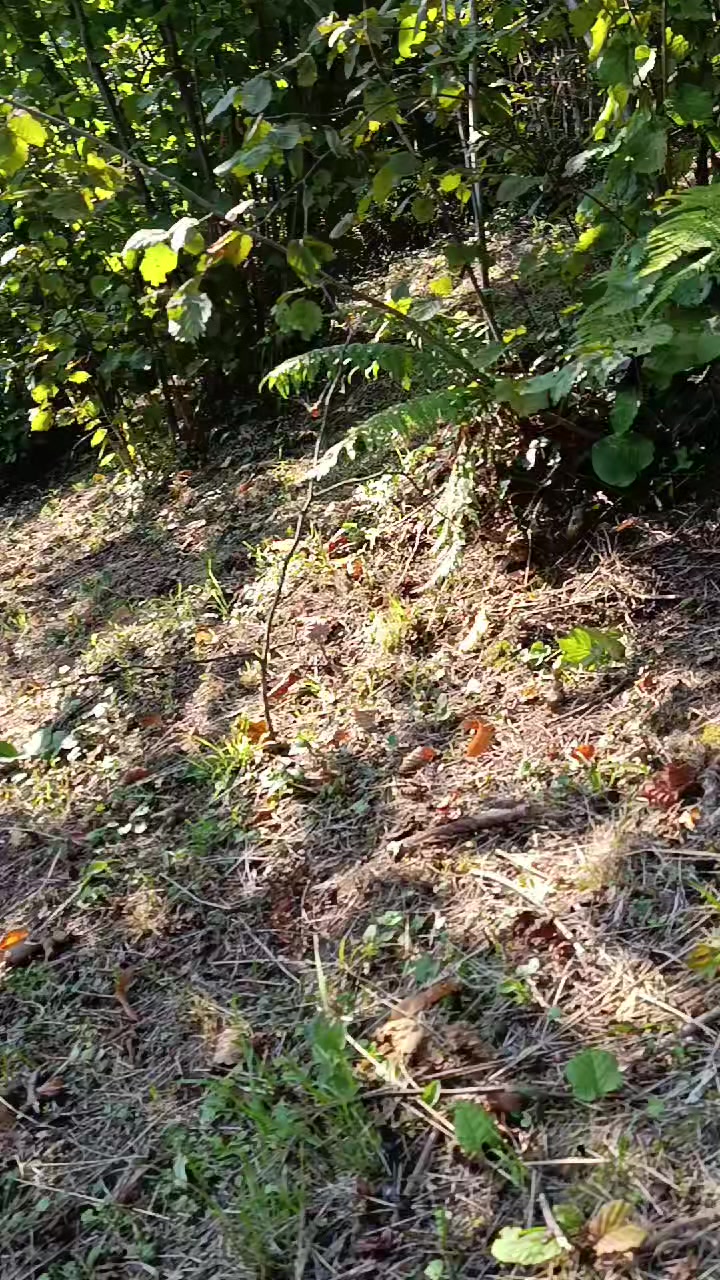 @kardelen kardelen
