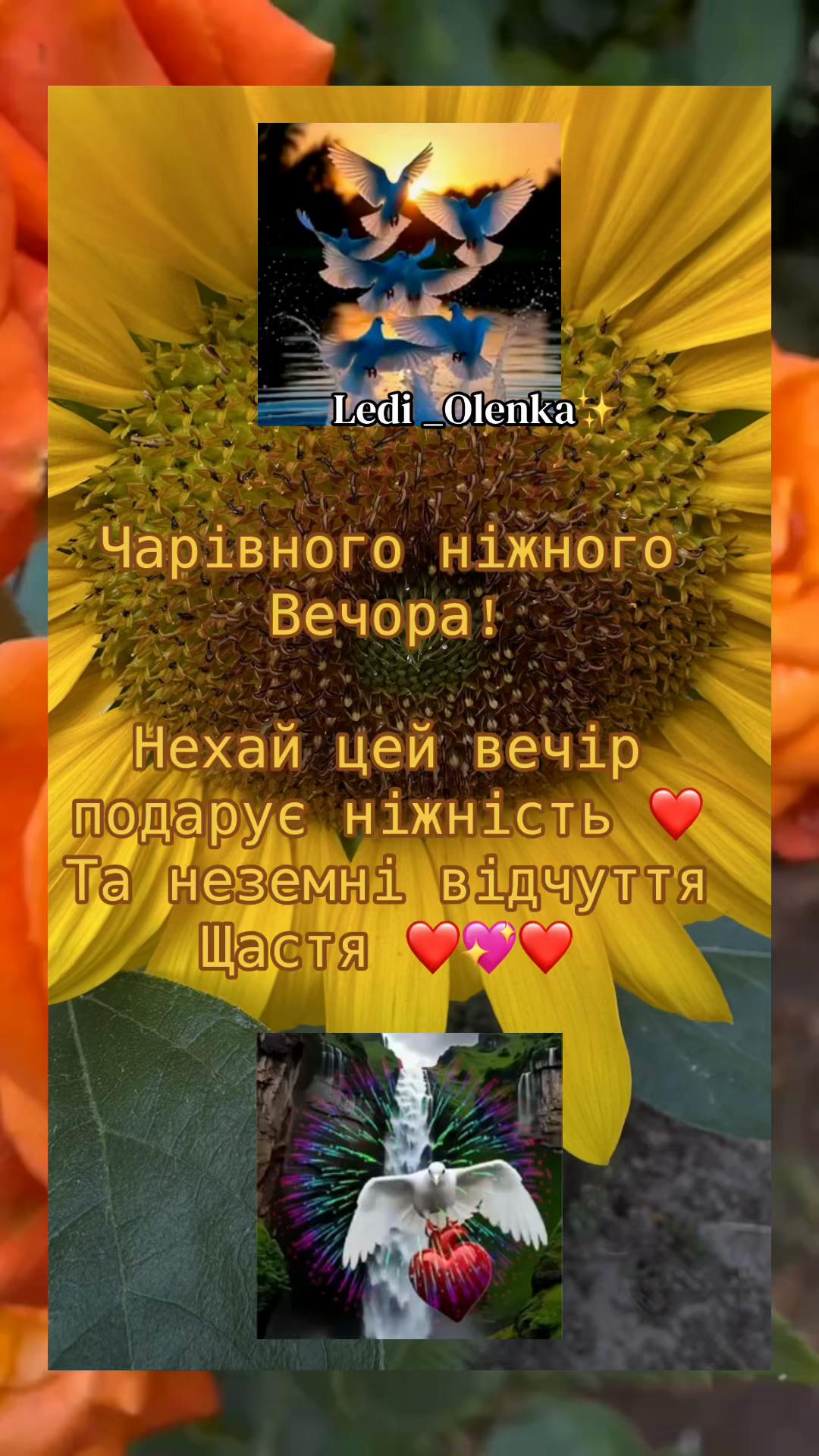 @✨🤍ОрХіДеЯ🤍✨🌟Одна така🌟
