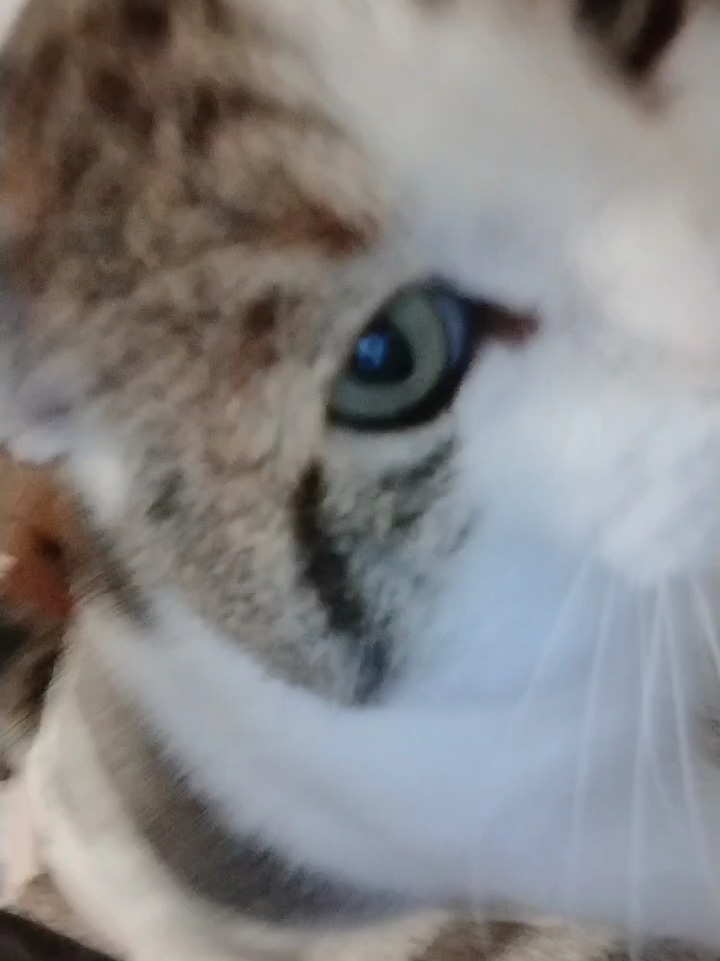 @Kas¹⁰⁰⁹
