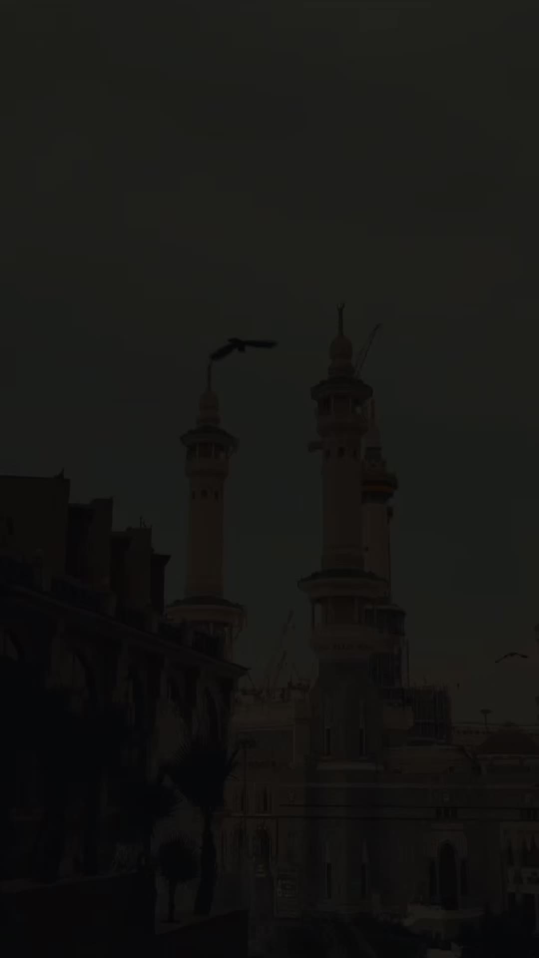 @❍⌇─➭⌗ℳσпꪖ𝟶𝟤: ๑ ˚ ͙۪۪̥◌ ⌨