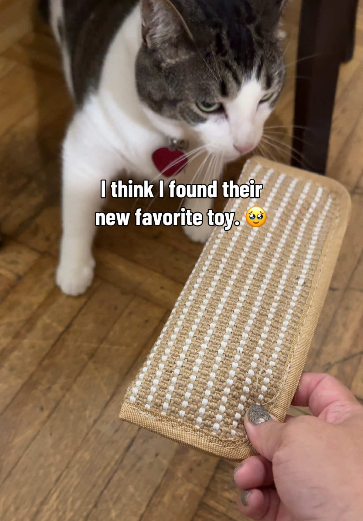 @Joyce | blind box therapy