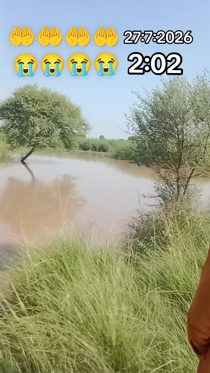 @Rauf Panwar