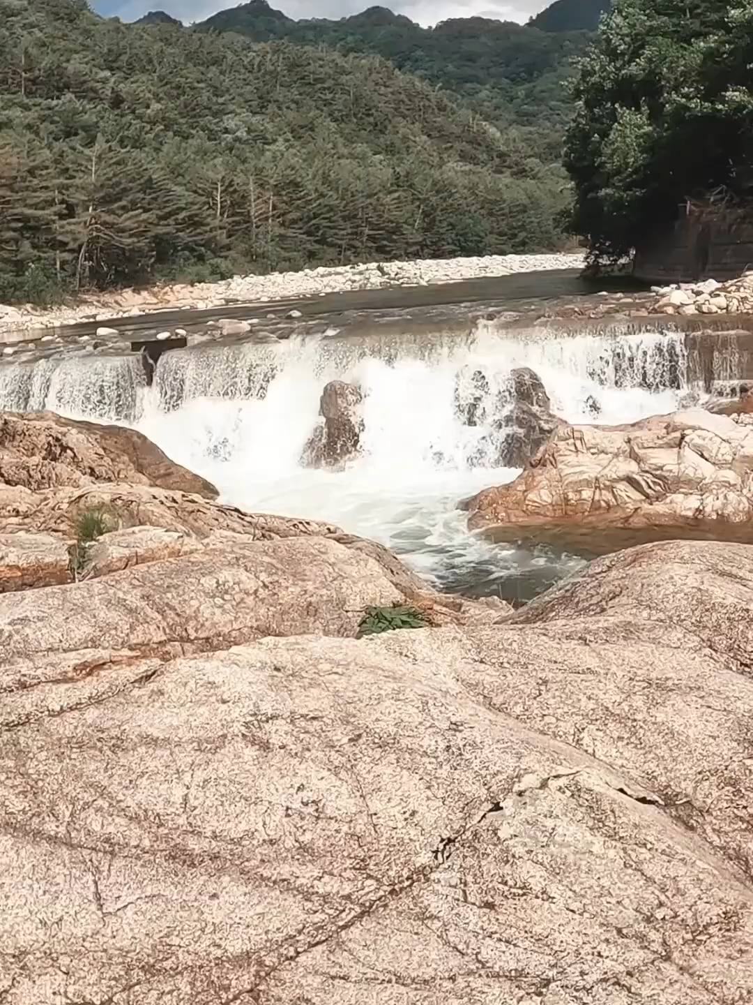 @user5598600502467
