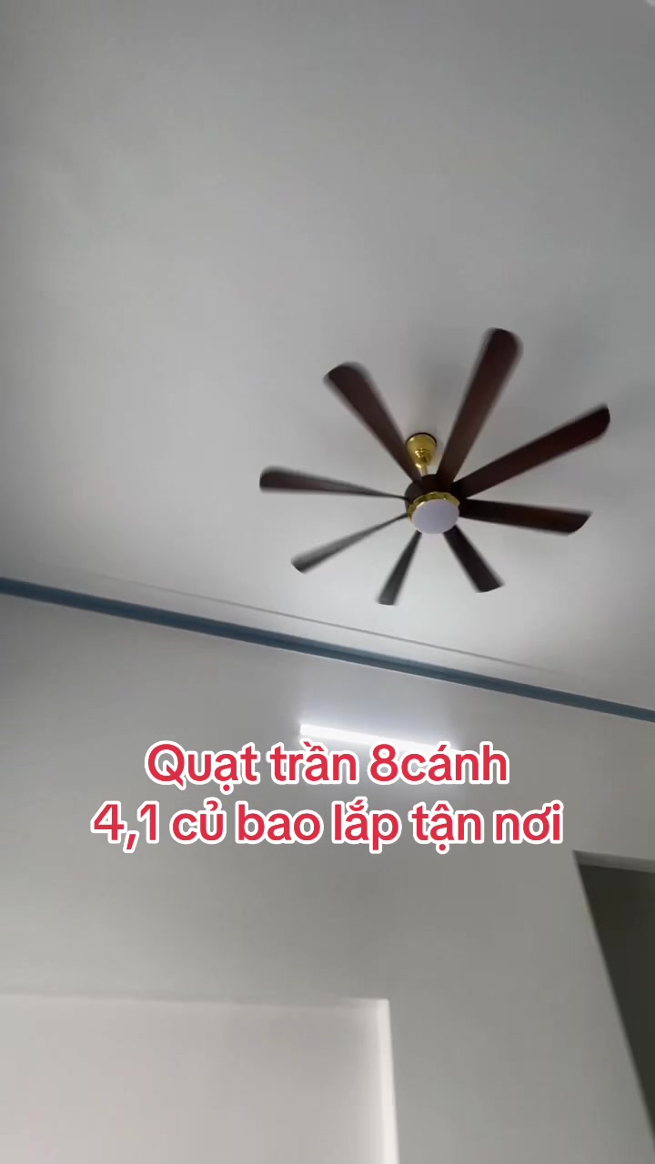 @VUA$QUẠT