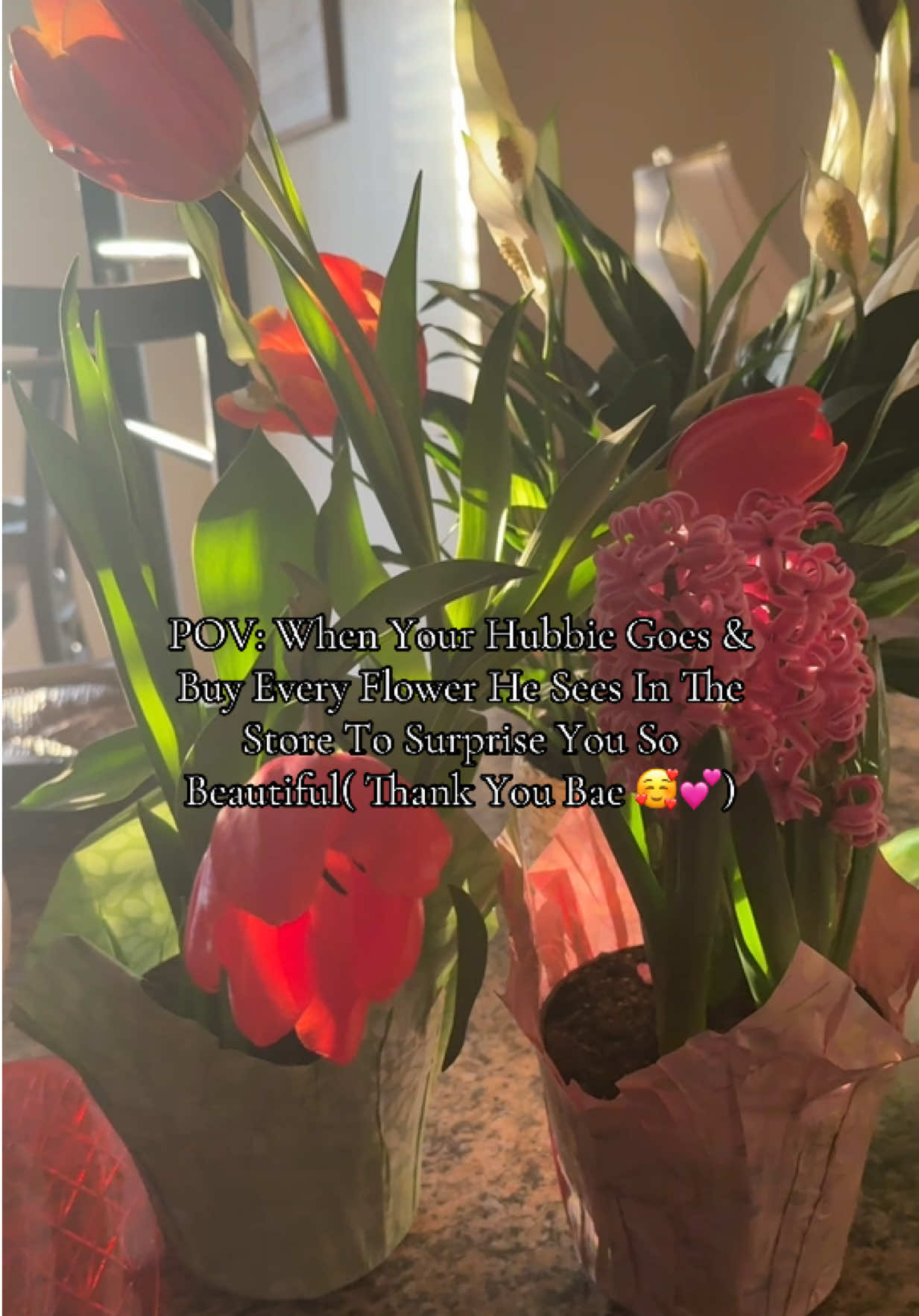 @NaturallyJas🌸Home & Travel