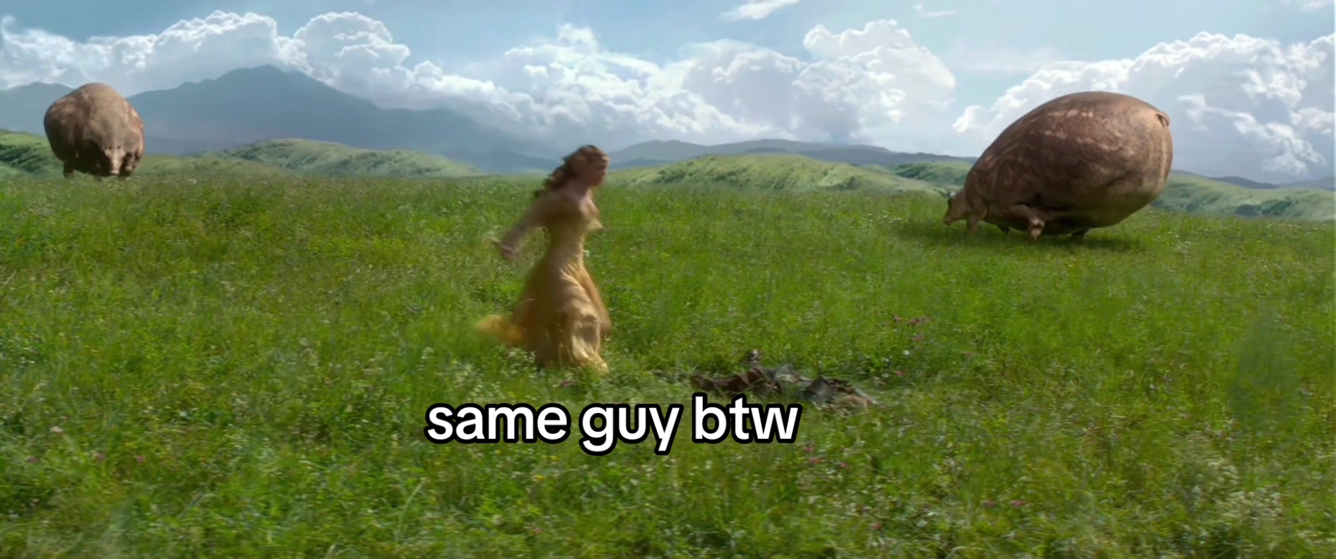 @ella