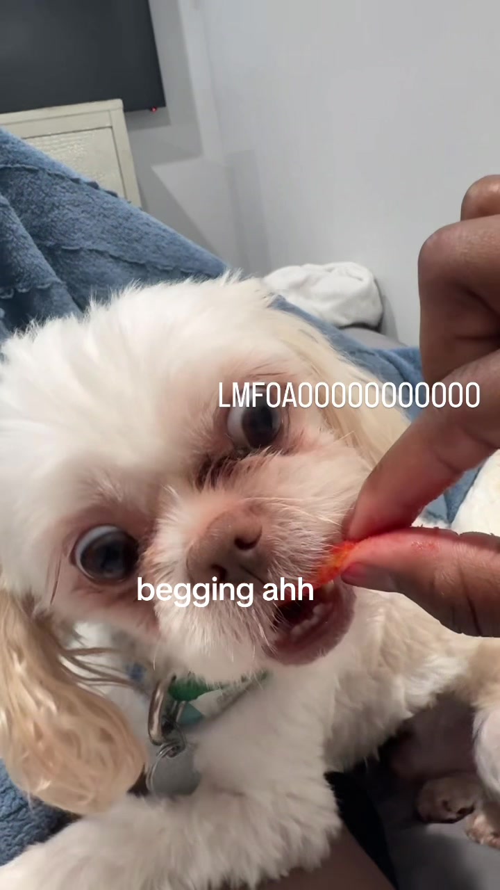 @dontlackladyyreappp