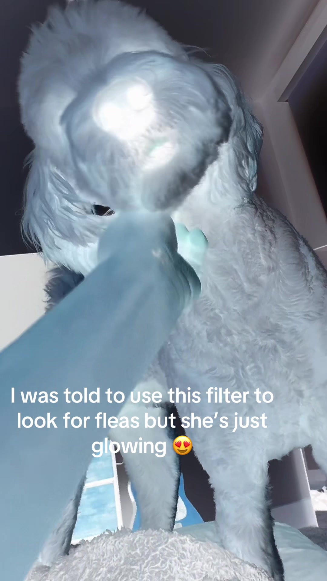 @JKim