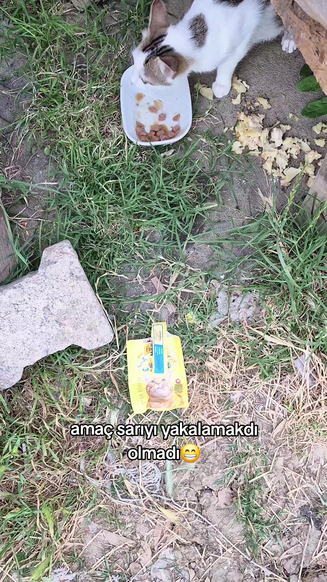 @kuzey