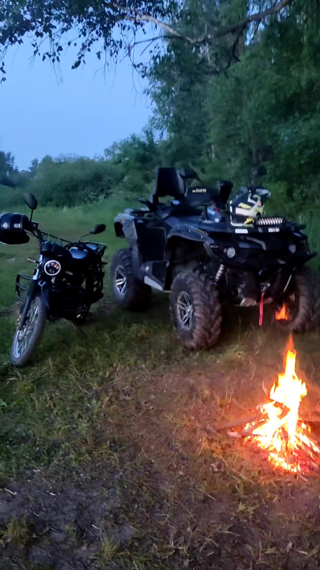 @Николай Гепардович
