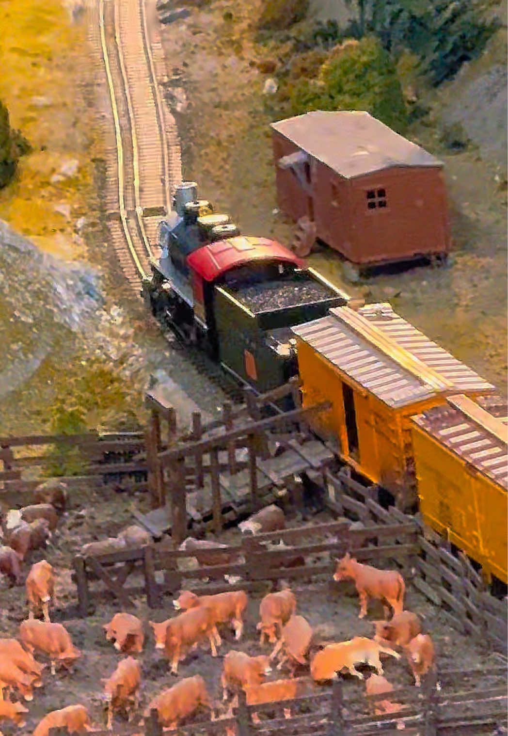 @ShinyRailsLover