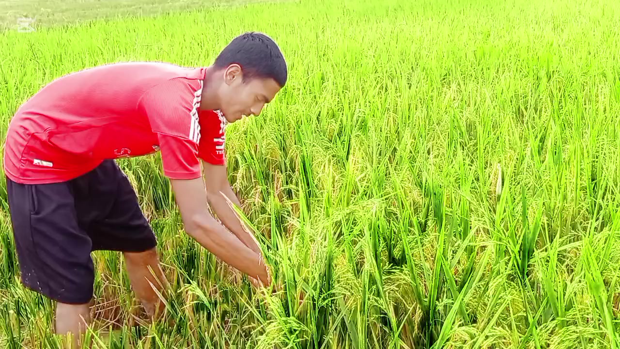 @🔥𝓜𝓾𝓷𝓼𝓱𝓲 𝓜𝓪𝓻𝓳𝓪𝓷 🔥