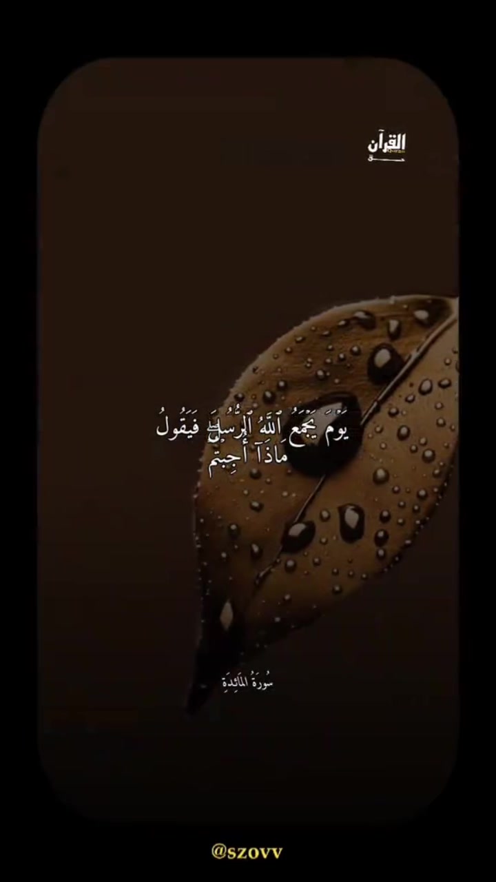@علي الشريف🇸🇦