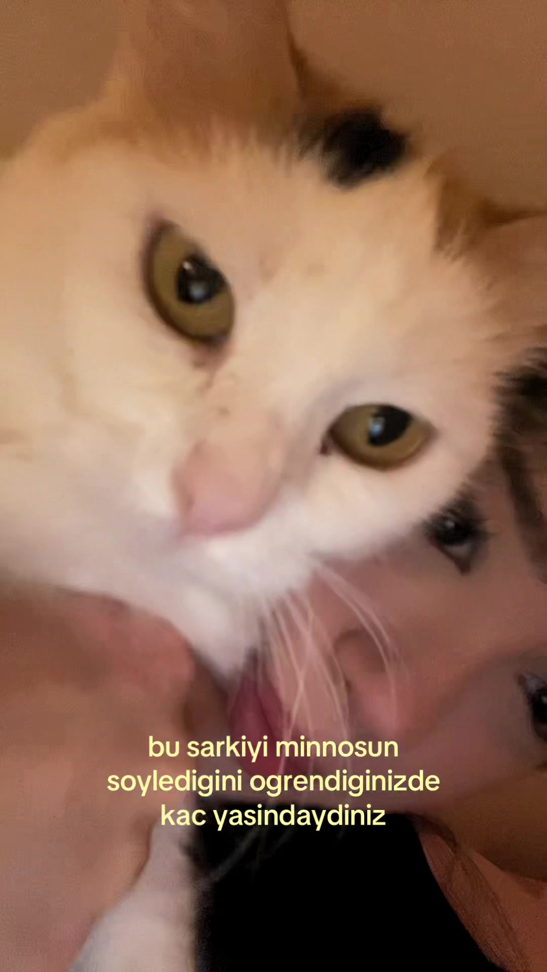 @๐ฆ๐๐๐๐ข๐
