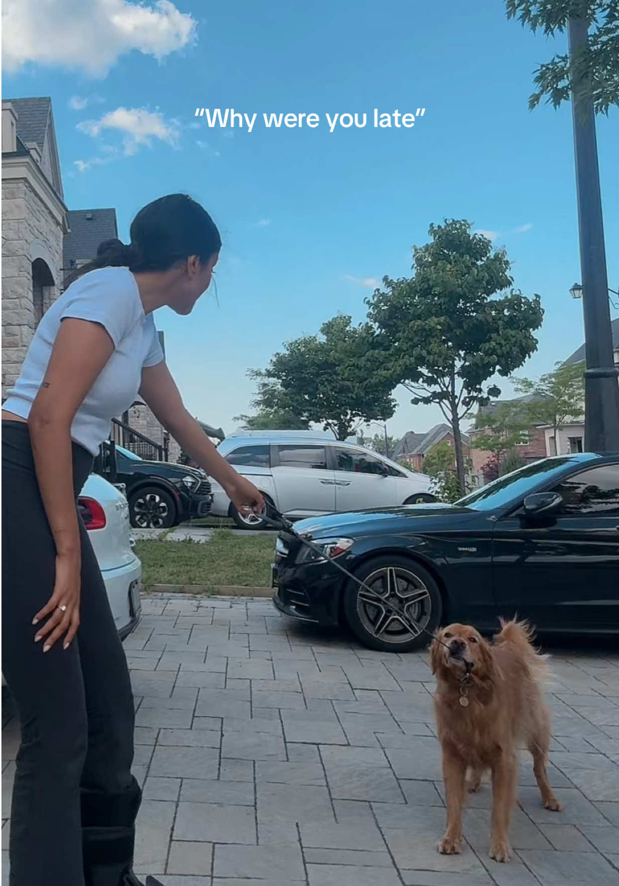 @Bentley the Spicy Golden🌶️