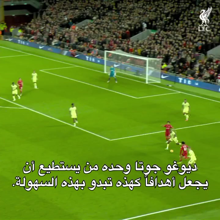 @الـدون بـيـكاسـو | Pic8