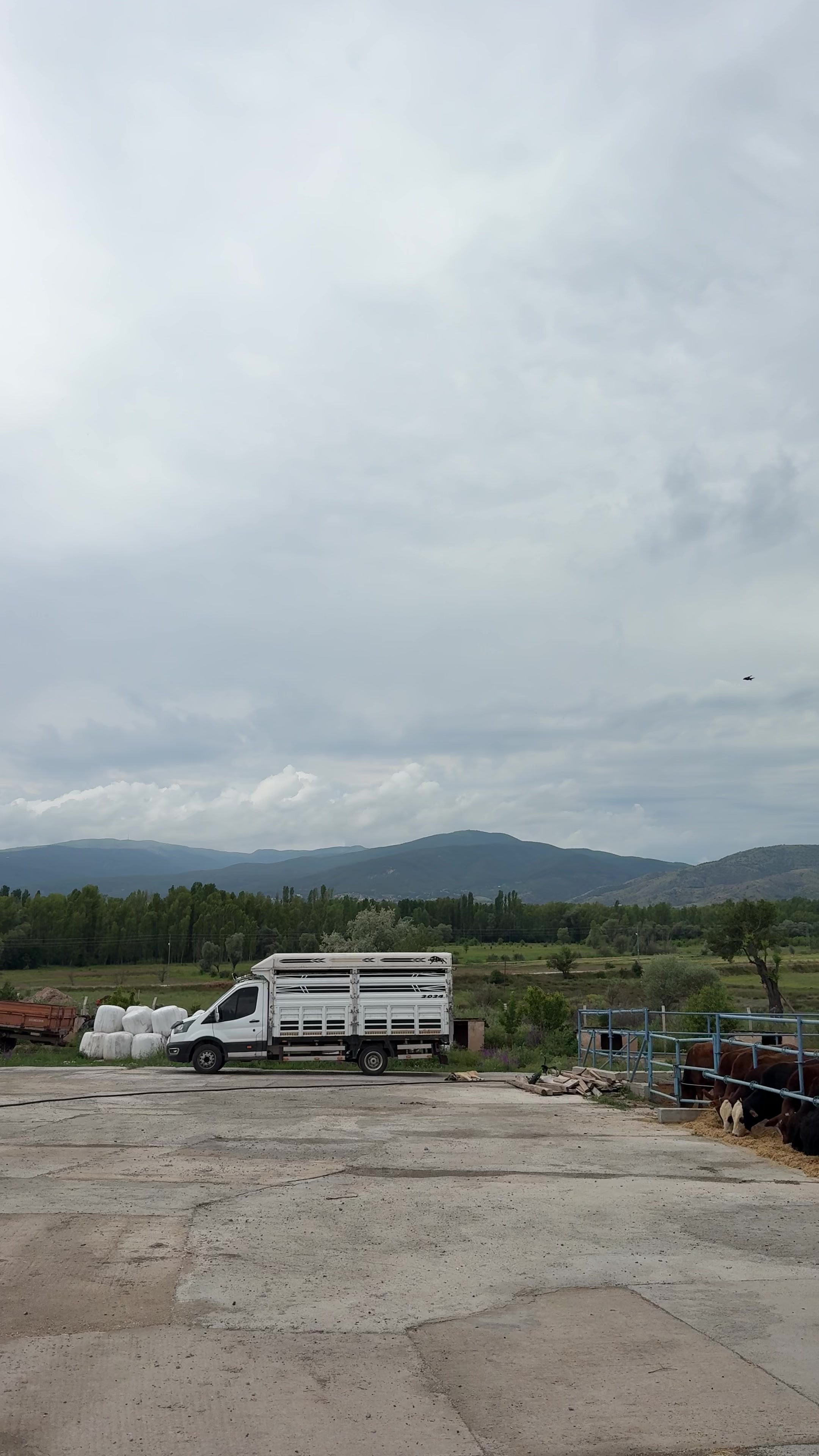 @Serkan demirci