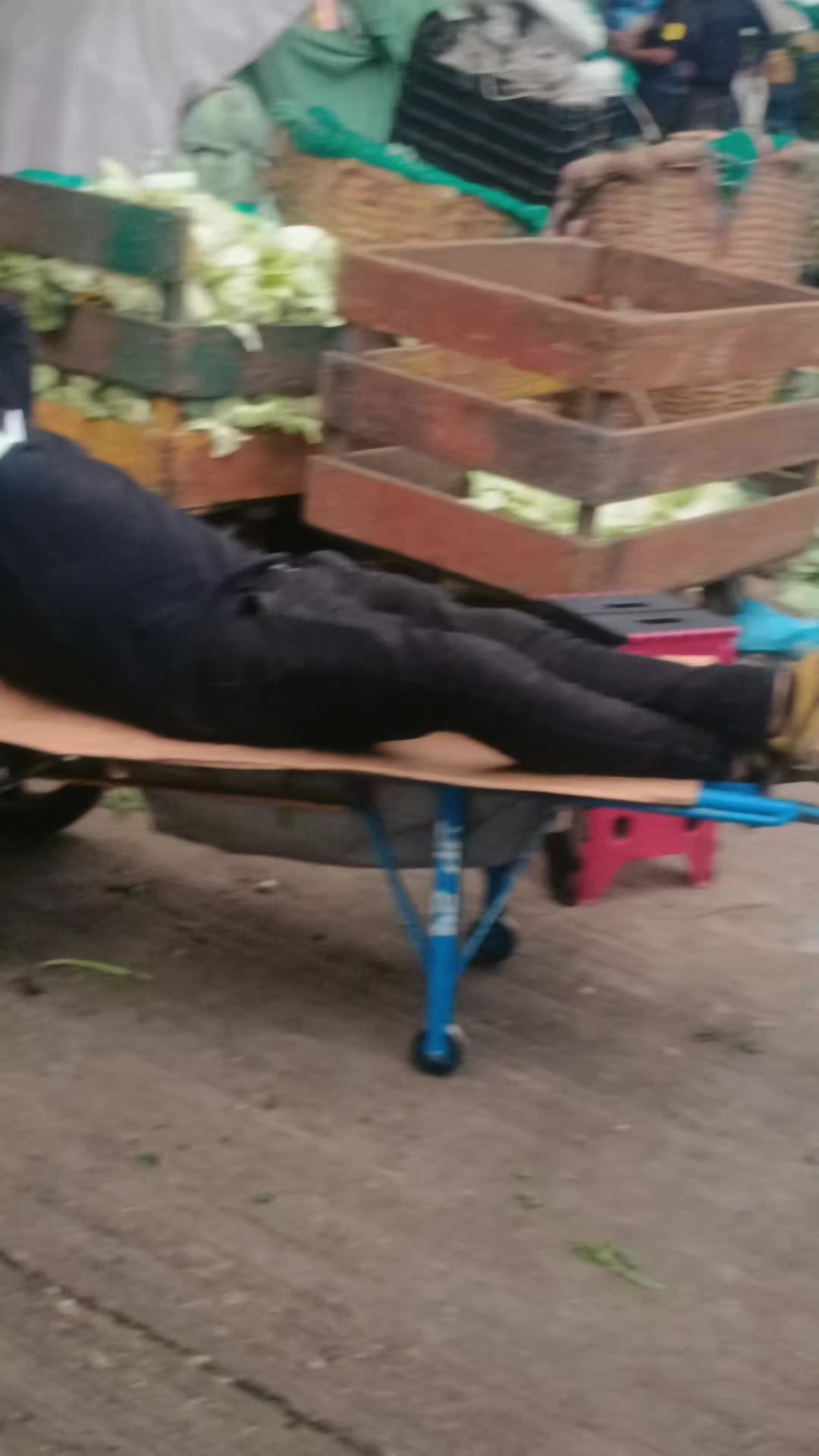 @🖤⃝🇲🇽ᴊᴇꜱꜱɪ𓆩👑𓆪🌹👁️☘️🕊️❤️
