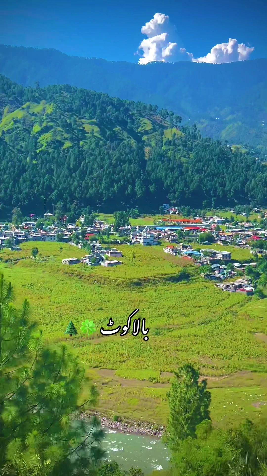@🌻𝙈𝙧_𝙔𝙖𝙨𝙚𝙚𝙣🌻