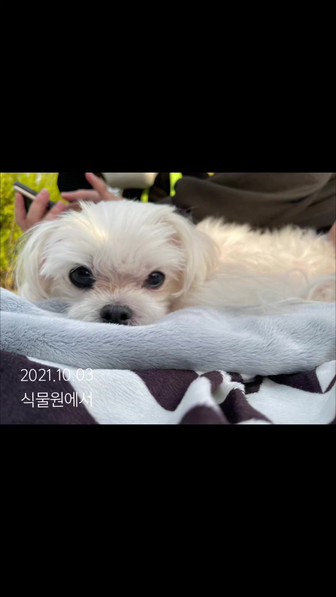 @초롱맘