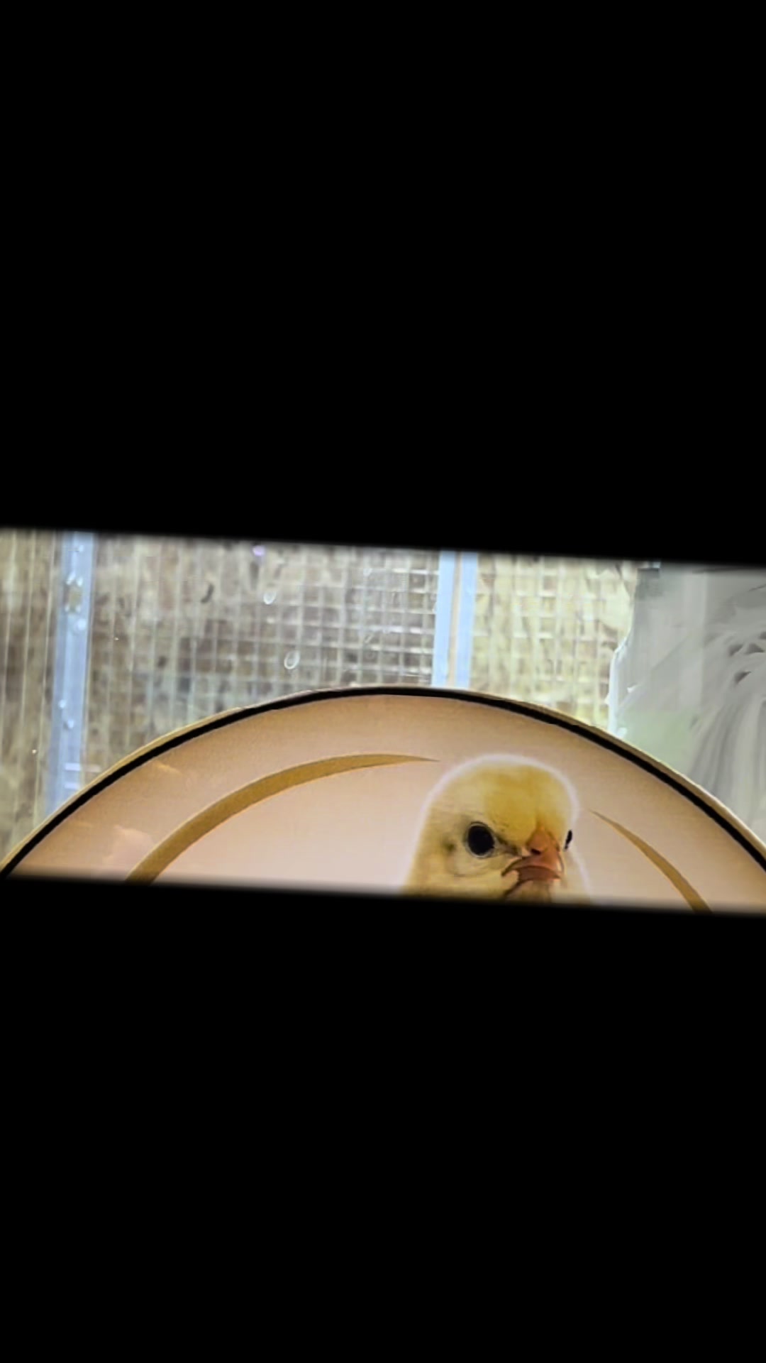 @ئۆشامۆ عبدالله🥇