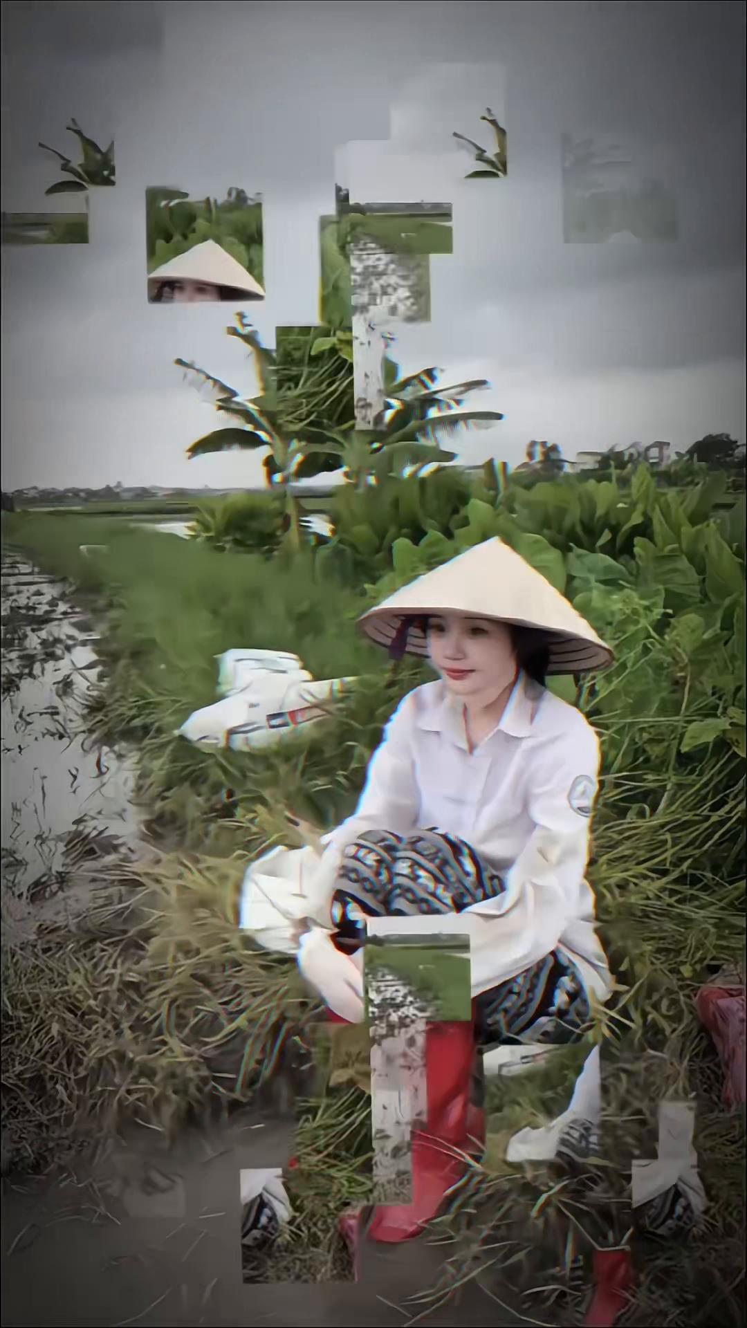 @X&igrave; Tẹt 🌷