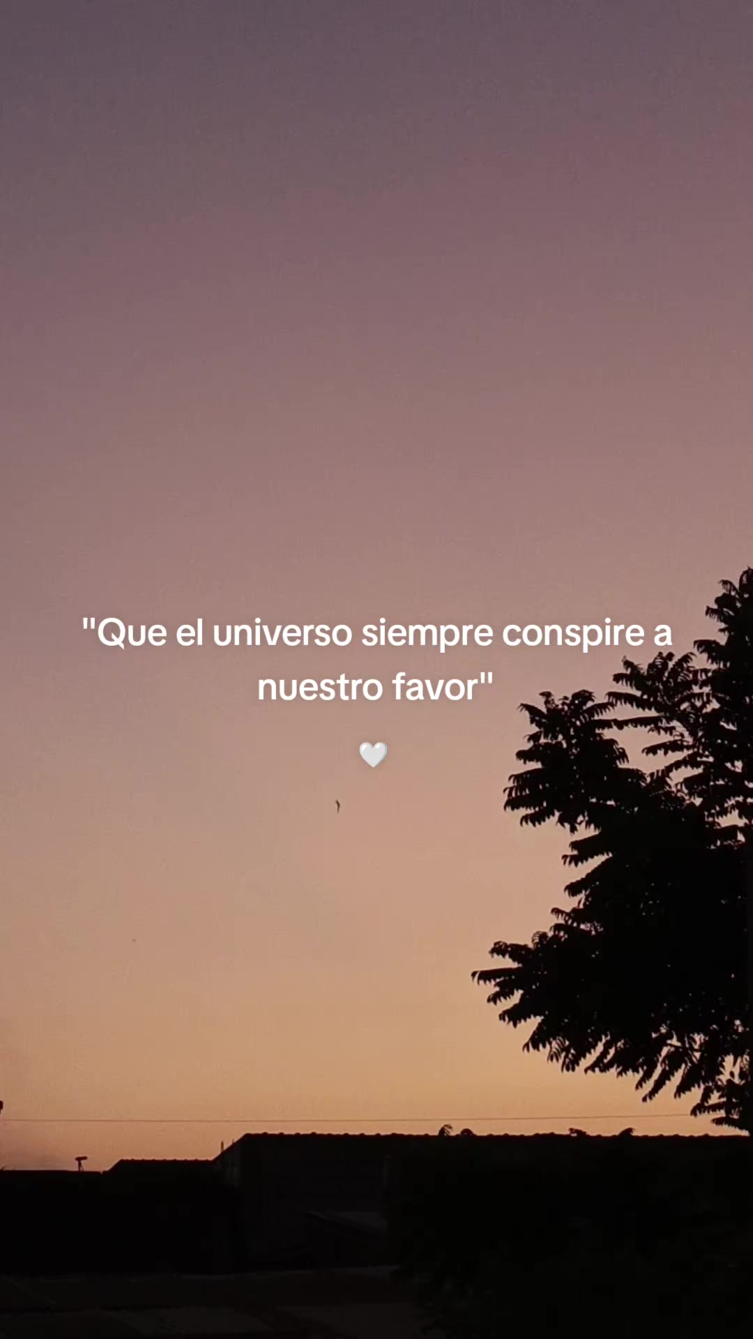 @✨Brii✨