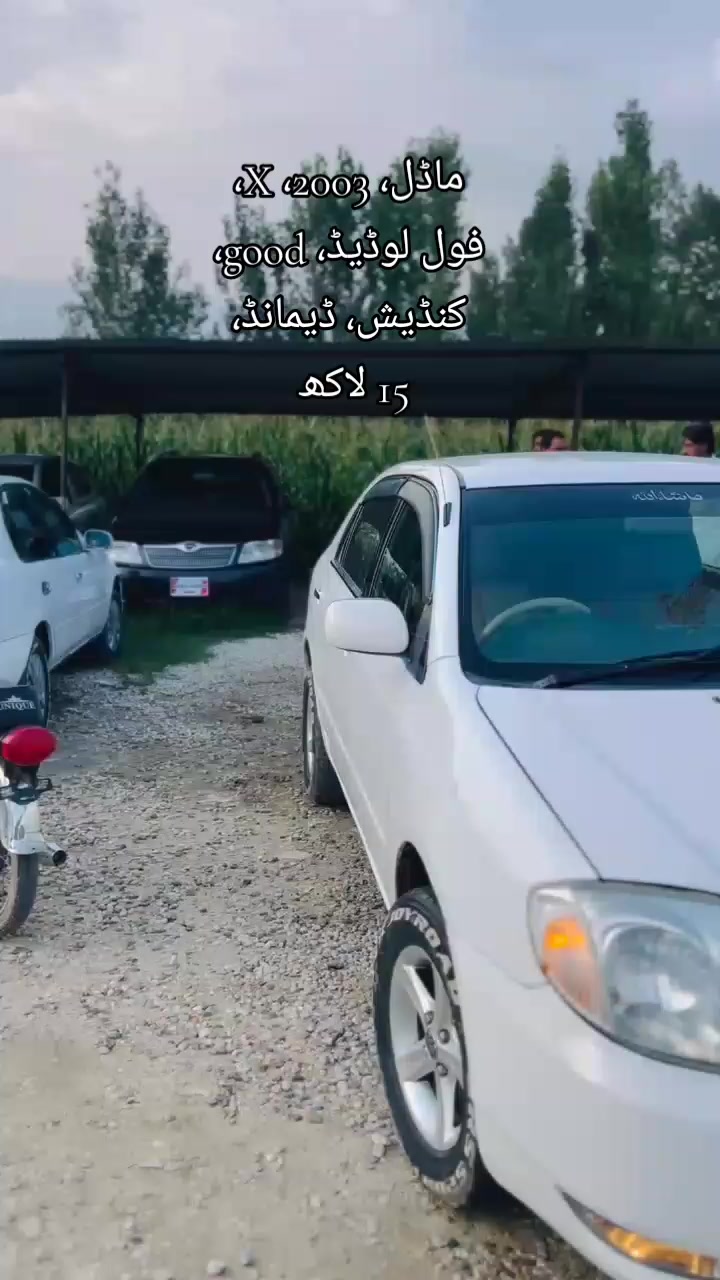 @ncpcarlover1