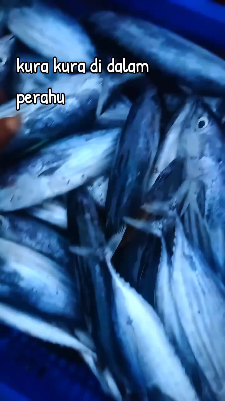 @RESMI KEMBALI🐠