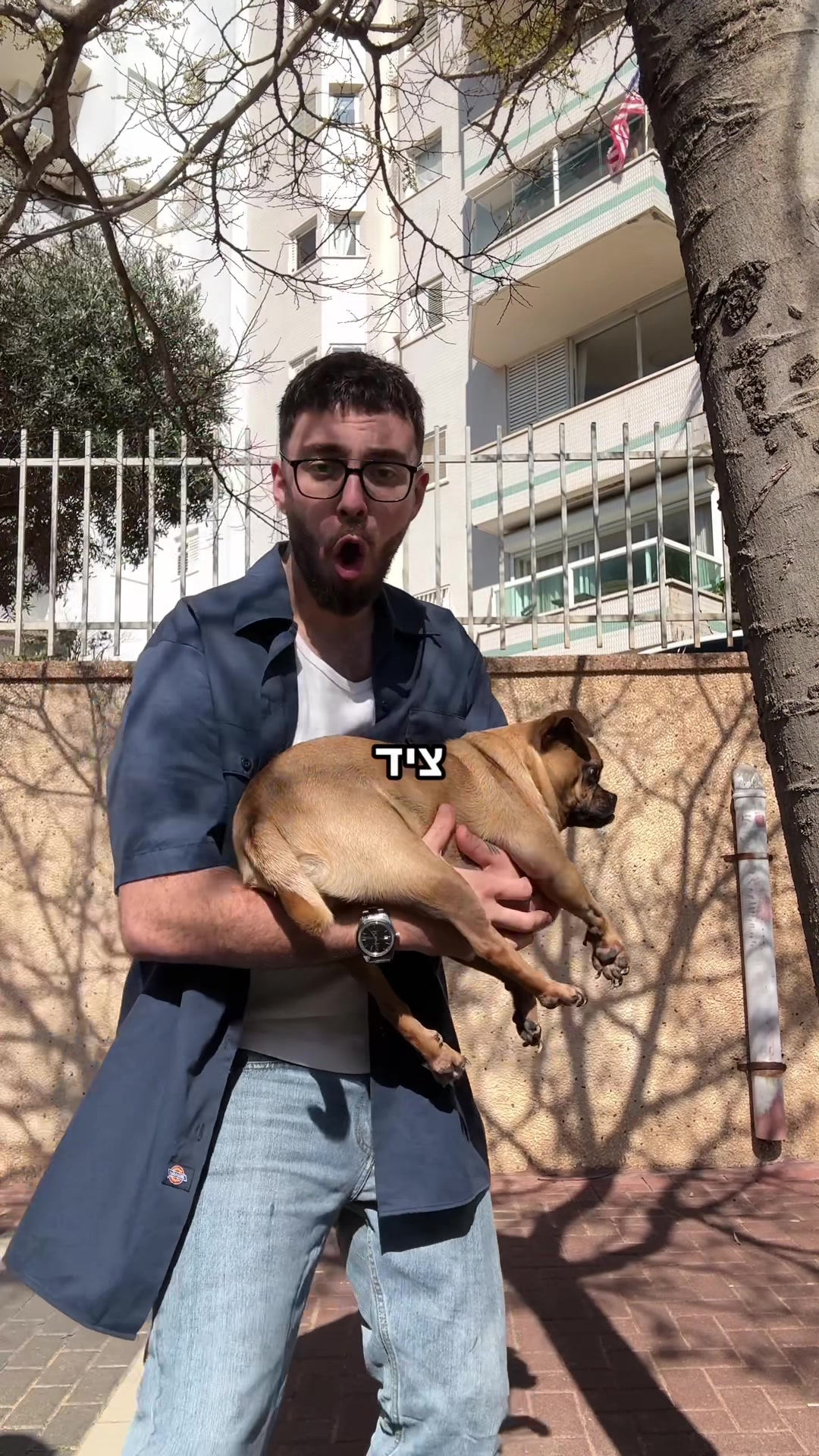 @ים רפאלי
