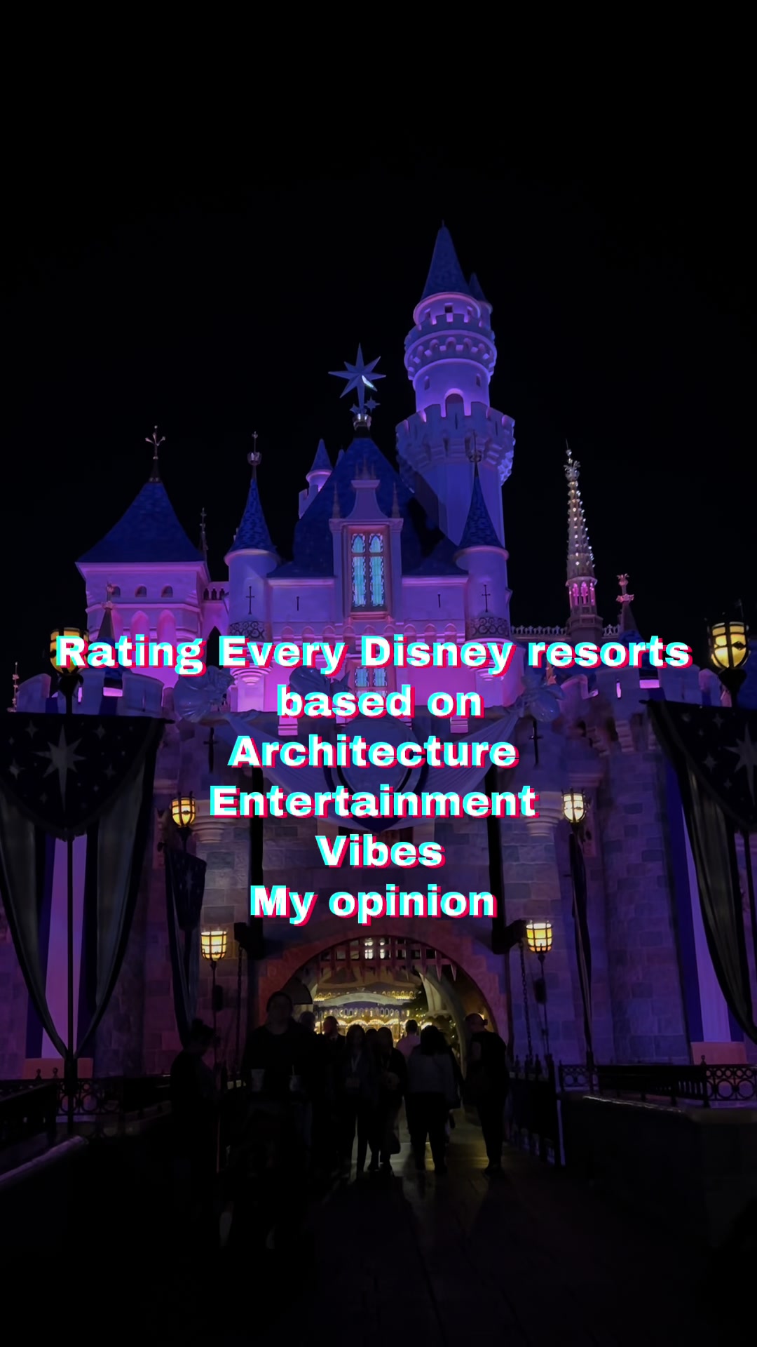 @Disney Dreamer