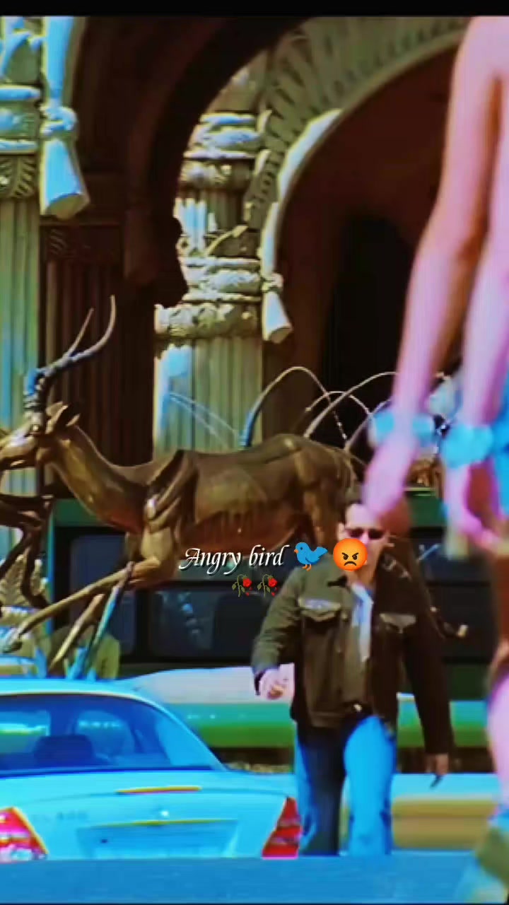 @💫𝖆𝖓𝖌𝖗𝖞 𝖇𝖎𝖗𝖉𝖘💫💥